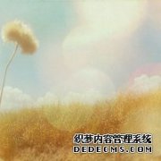 小学英语阅读训练100篇？家长的培训干货分享？